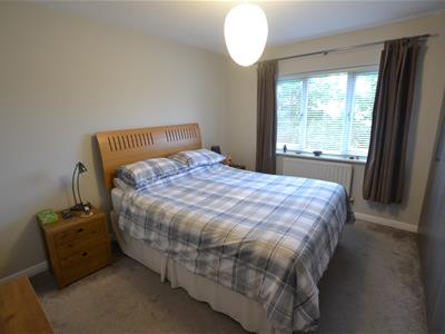 Picture 12